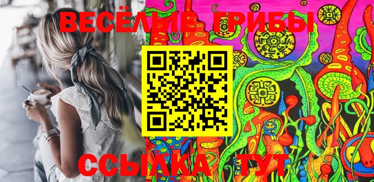 Псилоцибиновые грибы ЛСД  Галлюциногенные грибы ЛСД  Печора  Вход с VPN 